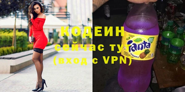 крисы Абаза