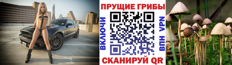 площадка формула  Инсар  Галлюциногенные грибы мухоморы  OMG tor 